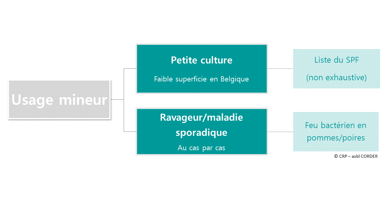 Définition des usages mineurs en Belgique