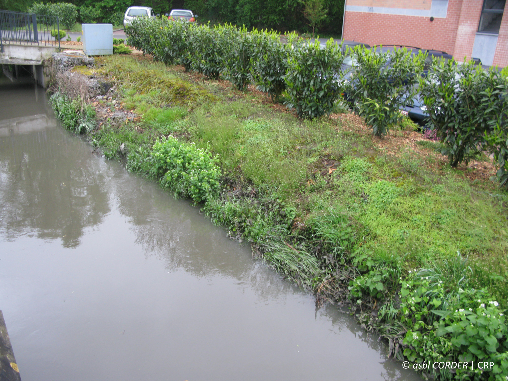 Zone tampon cours d'eau en ville