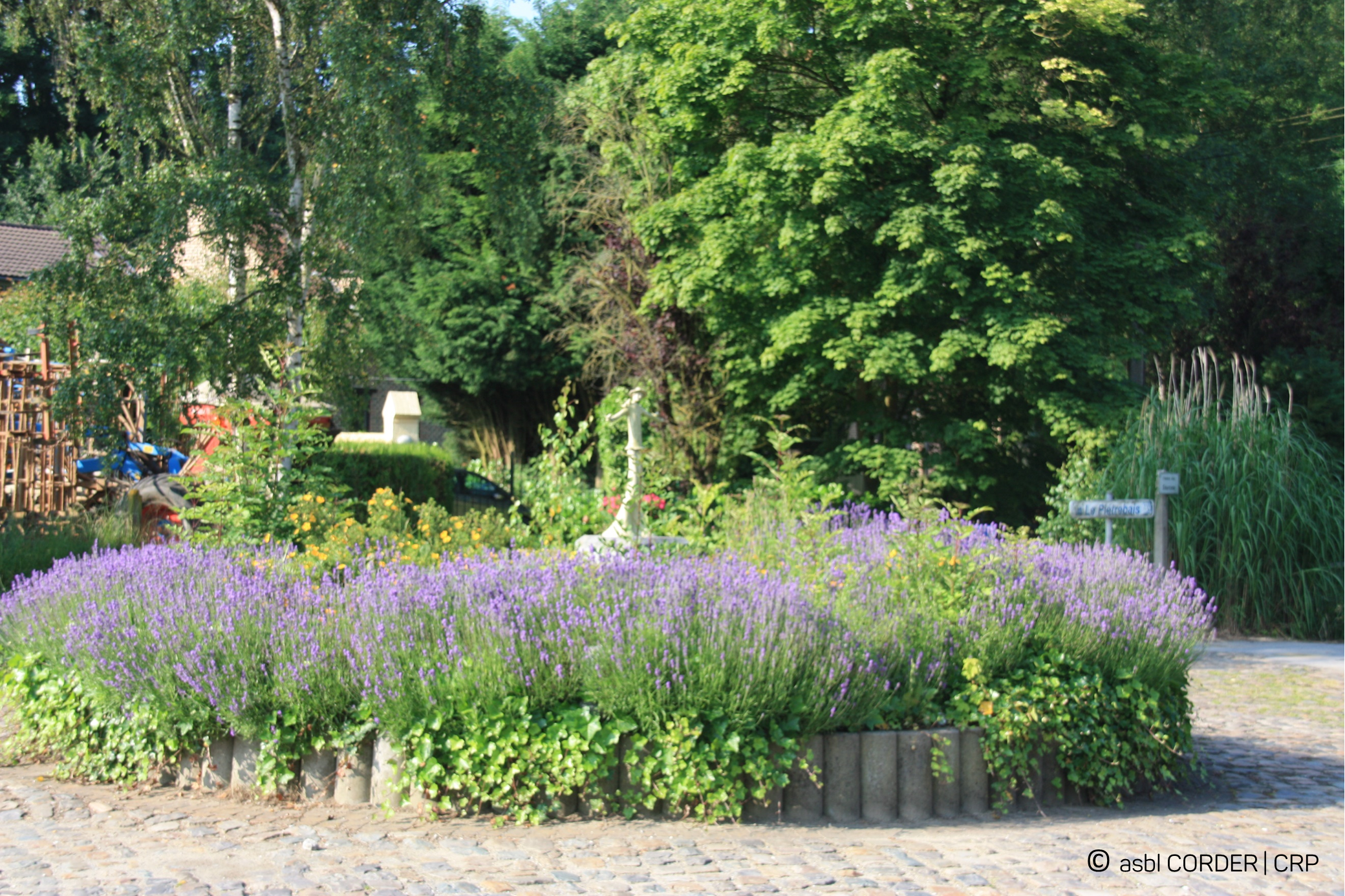 Entretien espaces publics parterre fleurs