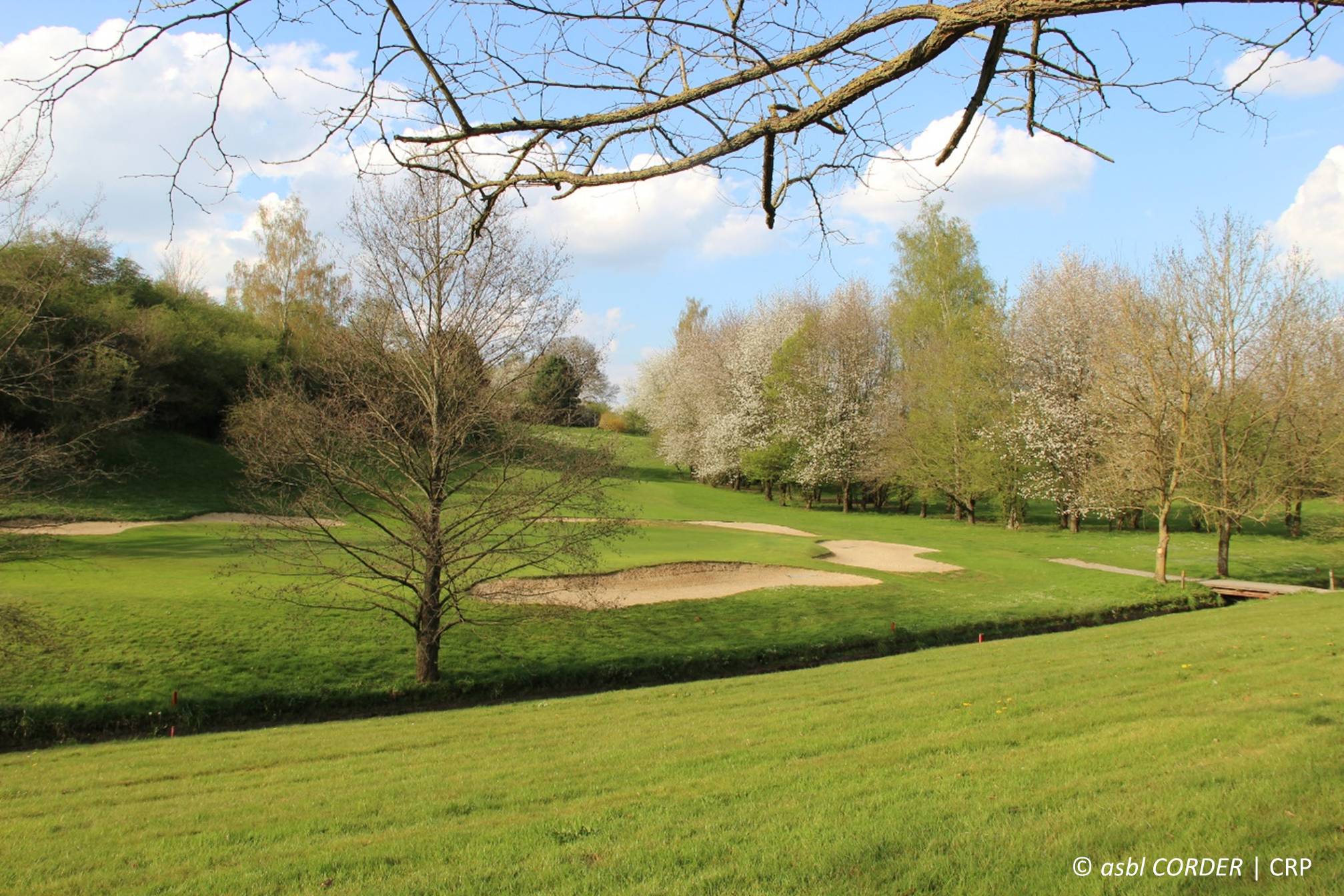 terrain de golf