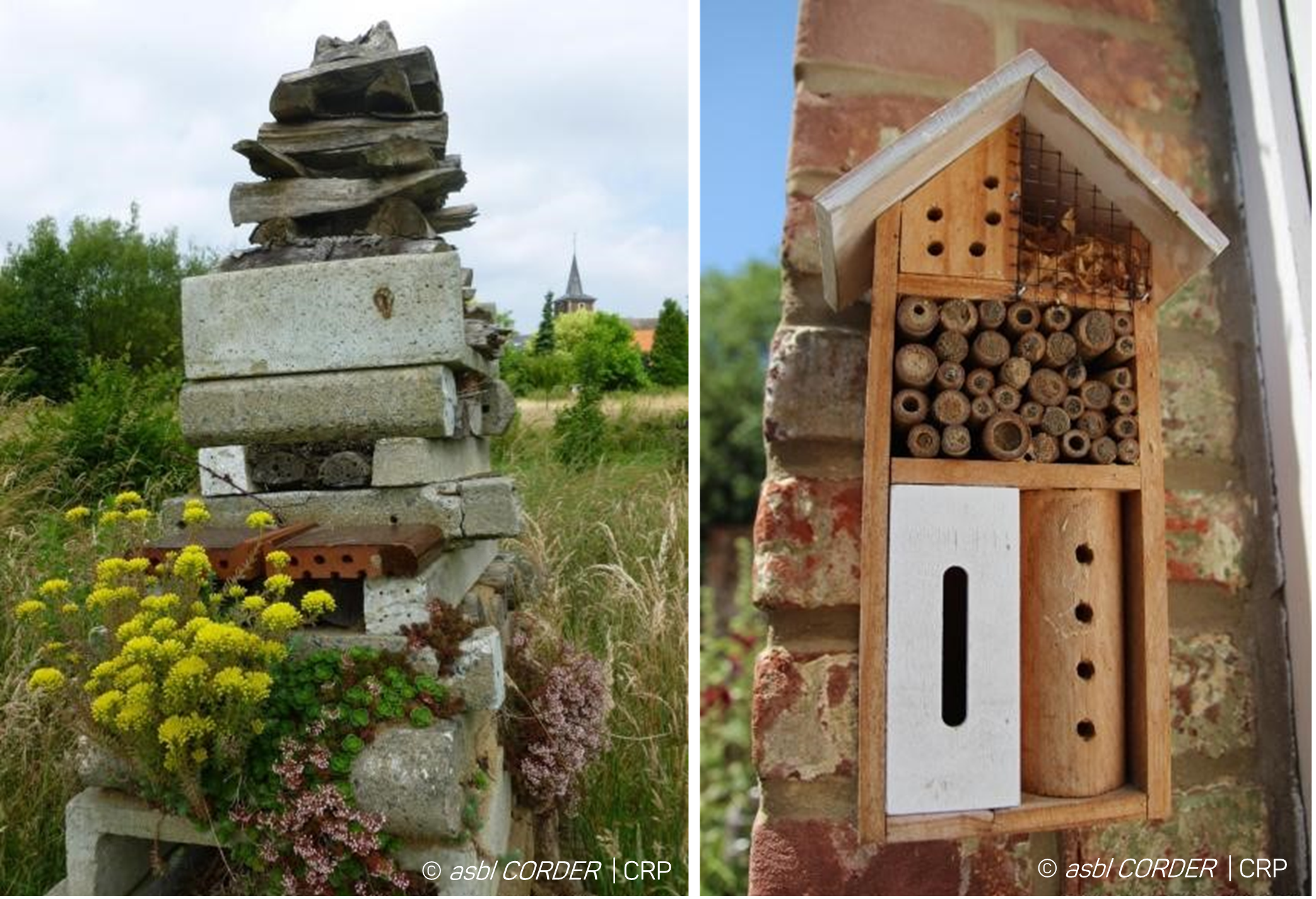 Hôtel à insectes