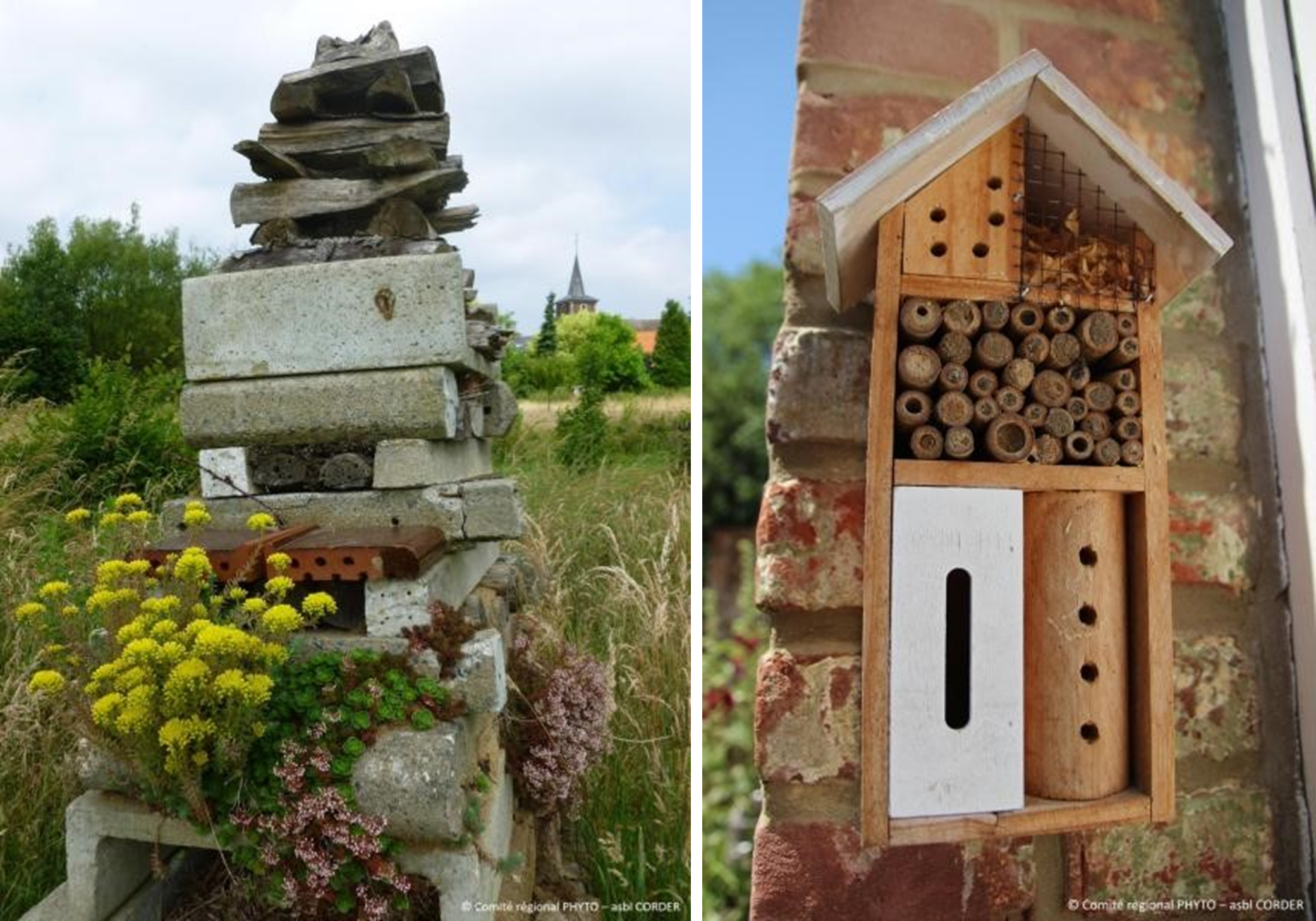 Hôtel à insectes