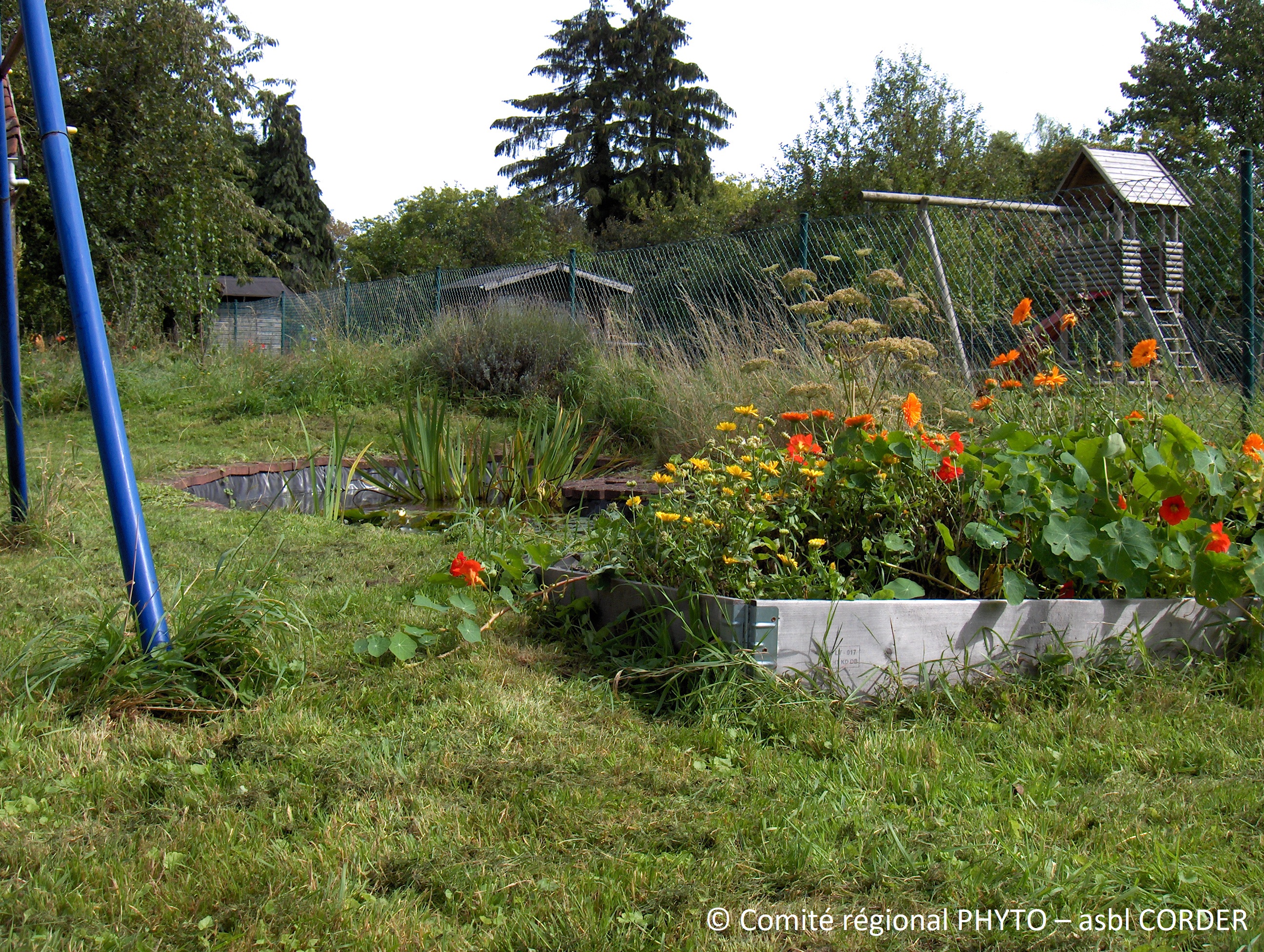 Jardin fleuri et étang