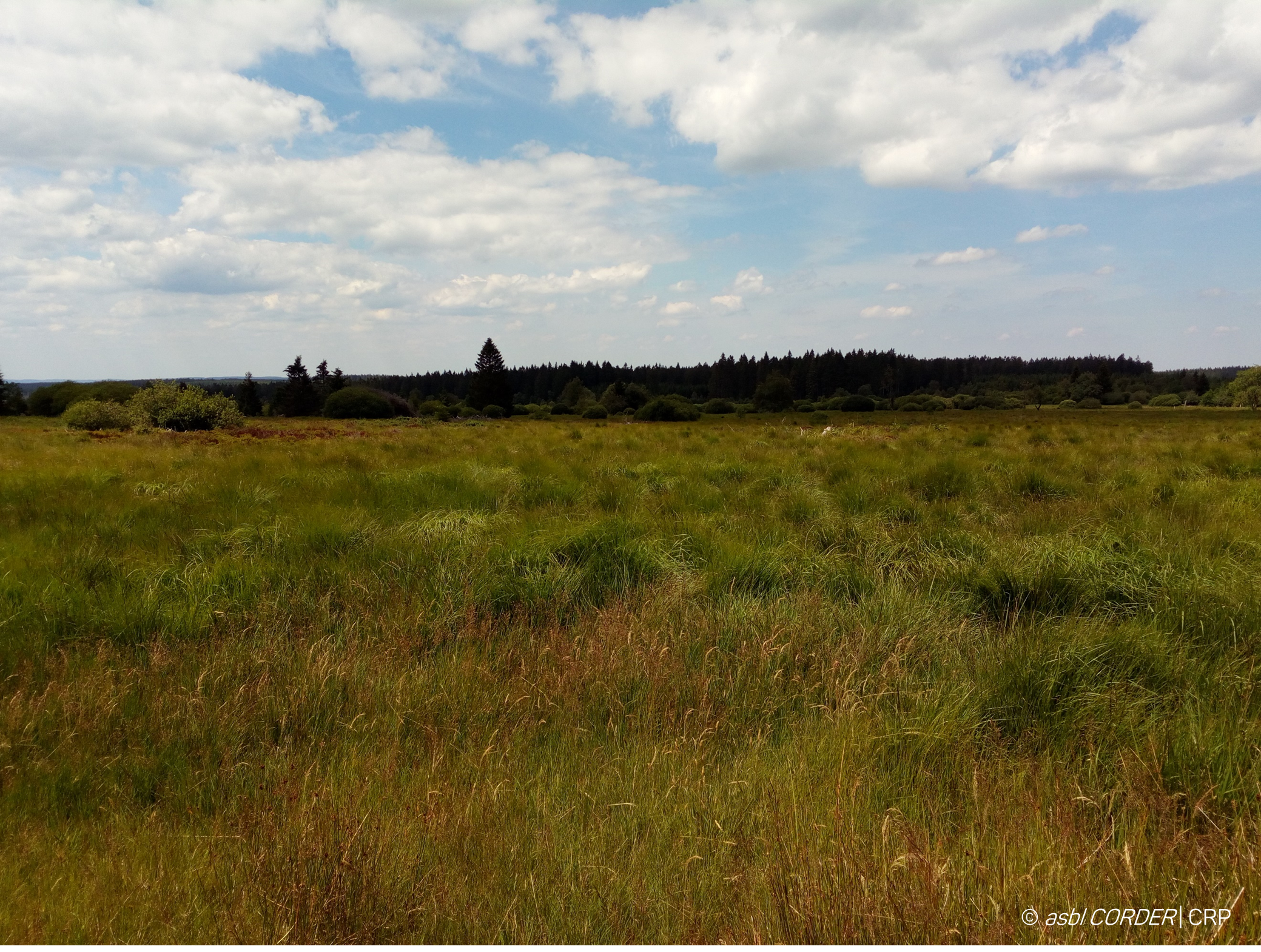 zone Natura 2000