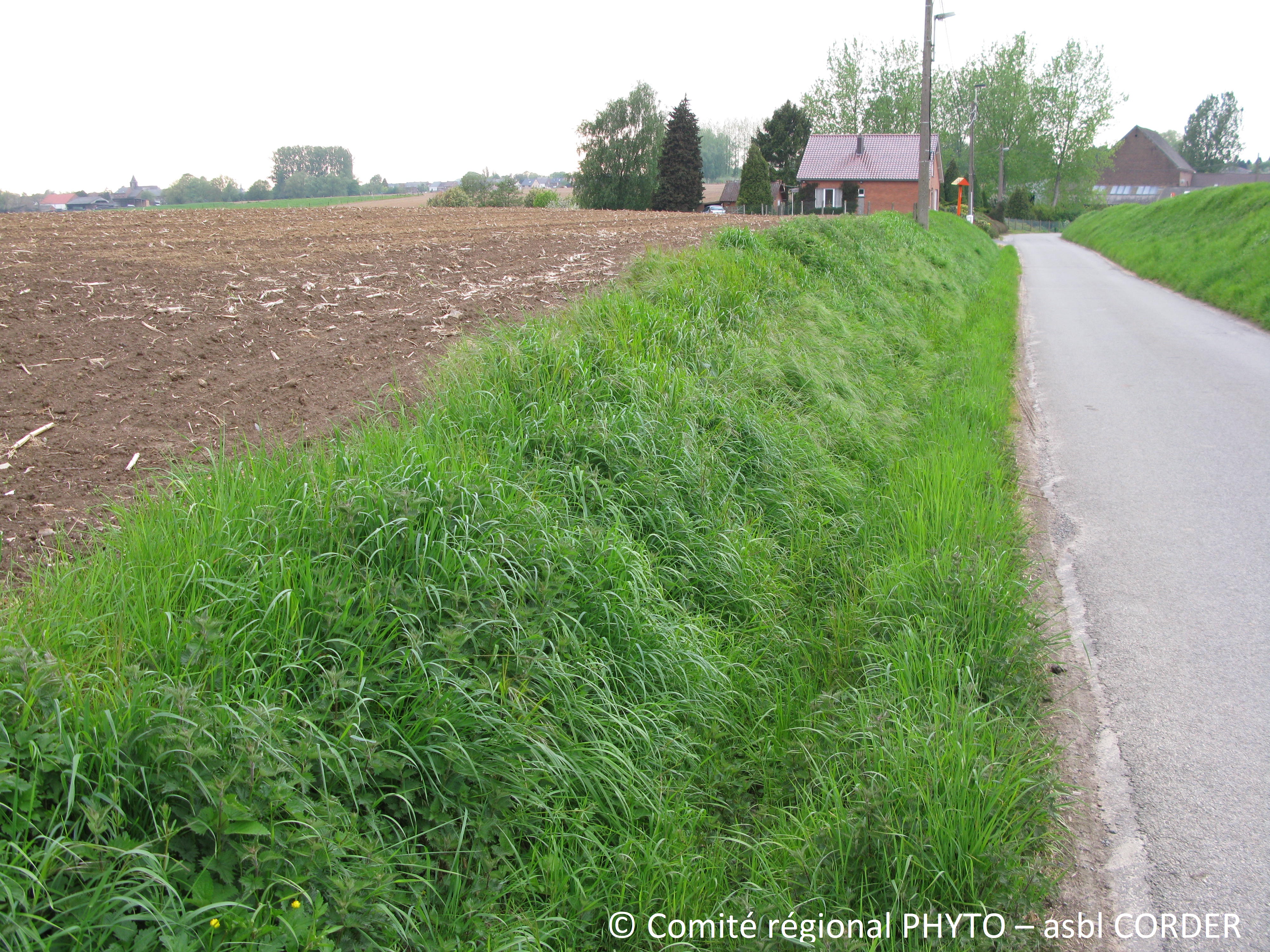 Zone tampon talus enherbé et fossé