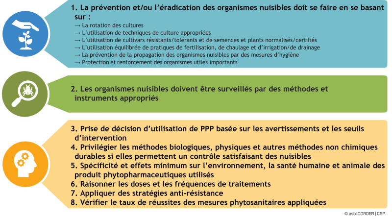 Schéma des 8 principes de la lutte intégrée