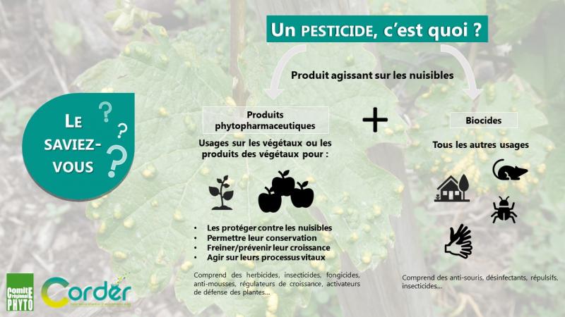 Les produits phytopharmaceutiques et les biocides sont des pesticides définition