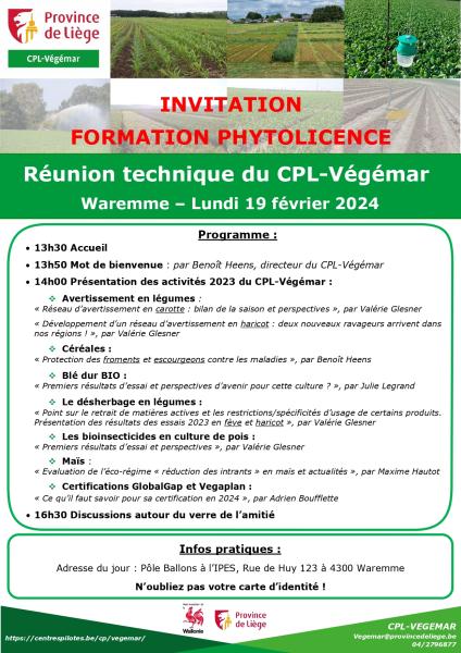 Formation