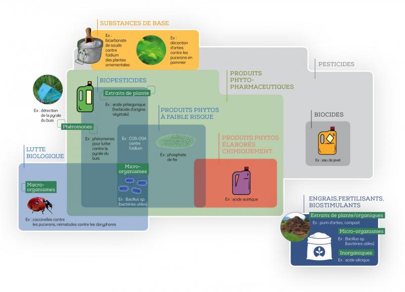 Produits phytos et autres substances