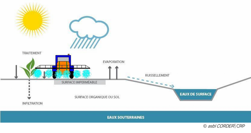 schéma du cycle de l'eau avec influence des traitements phyto