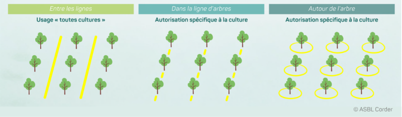 utilisation glyphosate en verger