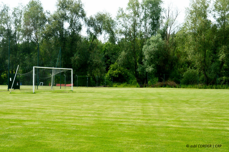 terrain de sport (football), zone à ne pas traiter