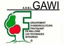 Logo GAWI