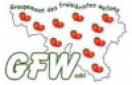 Logo GFW