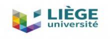 Logo Université de Liège