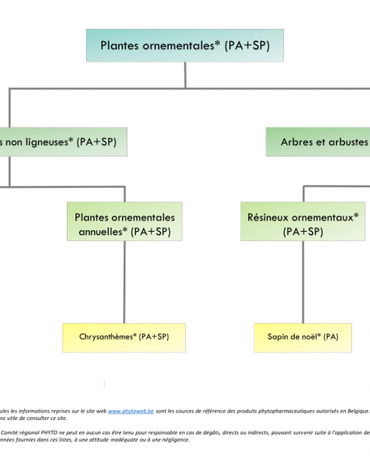 Classification plantes ornementales