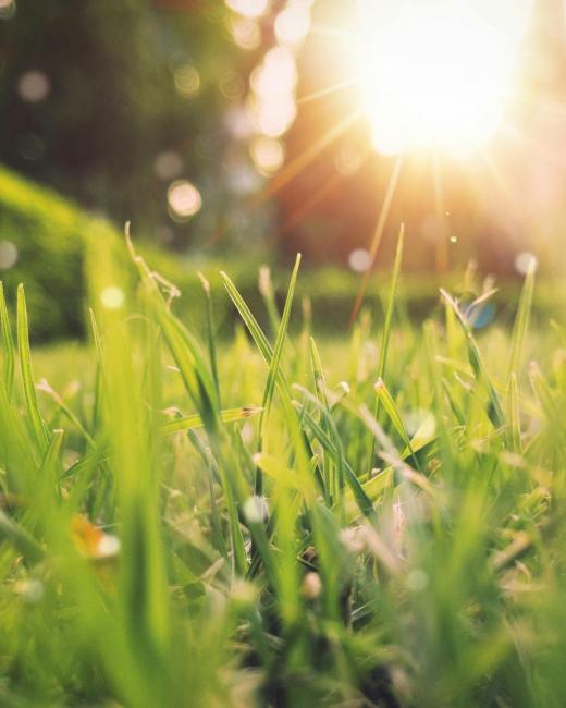 image-printemps-couverture