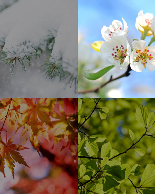 Fin de saison - printemps