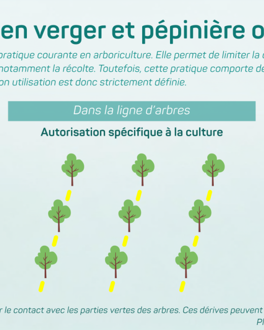 glyphosate-verger