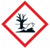 Pictogramme SGH09 : Dangereux pour l'environnement Pictogramme SGH09